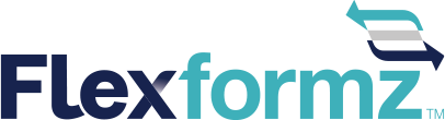 2001 Digizent Portfolio Brand Ffz Logo
